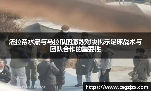 BG视讯官网